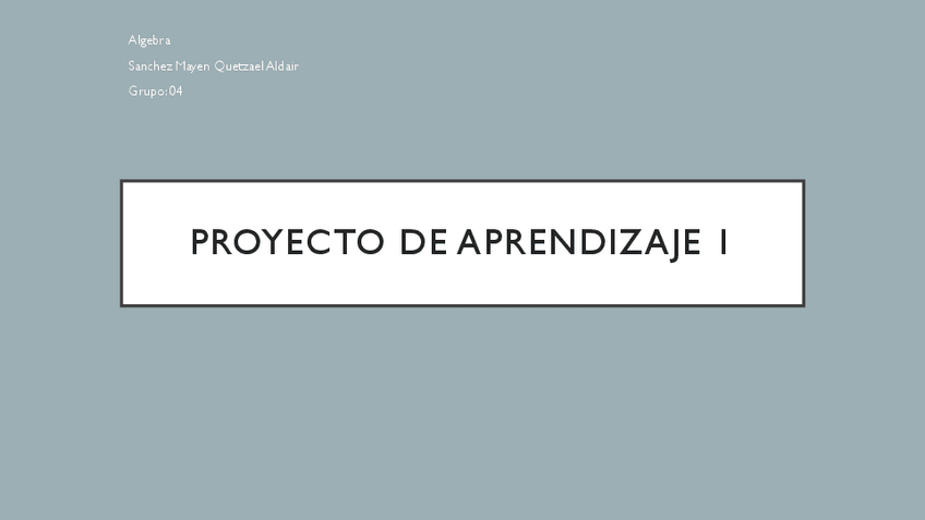 Miniatura del documento Algebra-Proyecto-de-aprendizaje-Tema-1.pdf