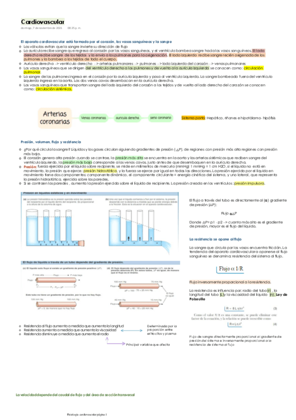 Miniatura del documento Cardiovascular.pdf