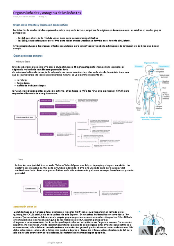 Miniatura del documento Oontogenia.pdf