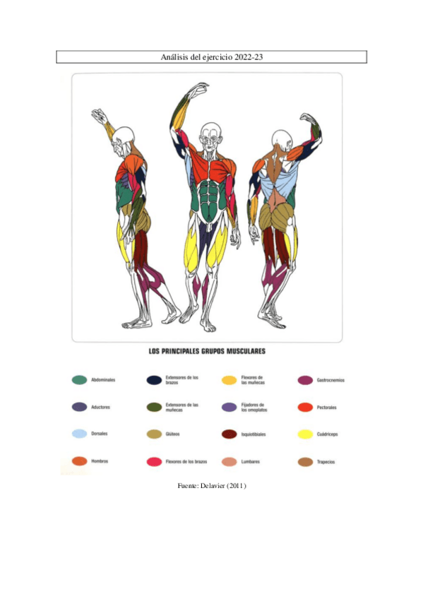 Miniatura del documento Analisis-del-ejercicio.pdf