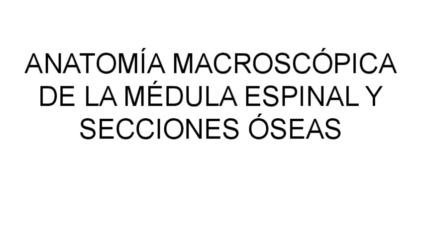 Miniatura del documento Medula-espinal.pdf