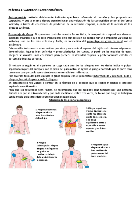 Miniatura del documento TEORIA-PRACTICA-4.-VALORACION-ANTROPOMETRICA-1.pdf