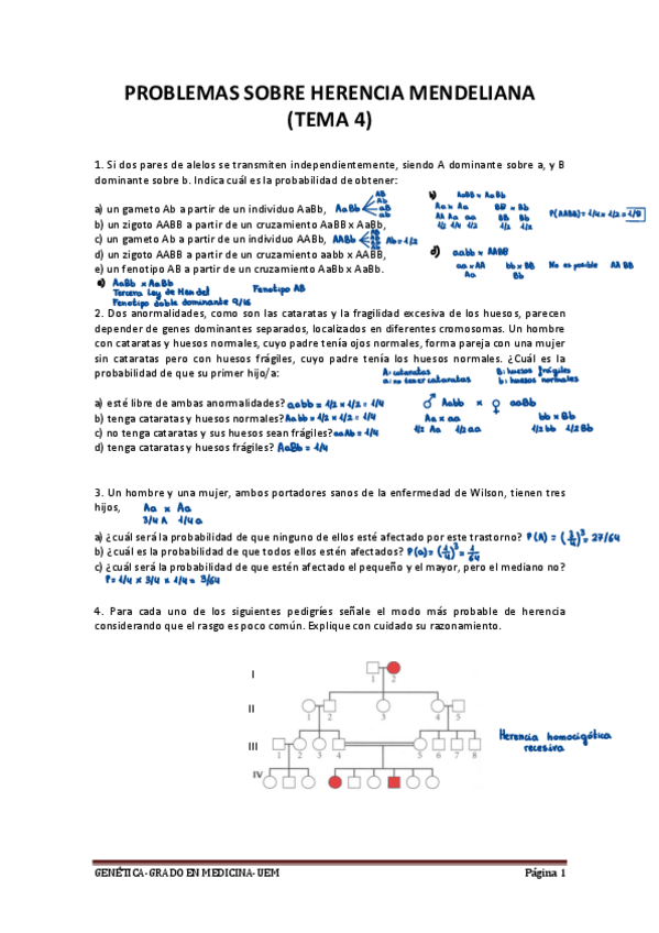 Miniatura del documento T4.-PROBLEMAS-HERENCIA-MENDELIANA-2022-resueltos.pdf