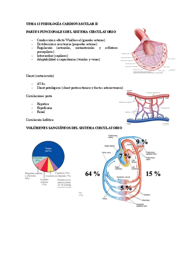 Miniatura del documento TEMA-13-FISIOLOGIA-CARDIOVASCULAR-II.pdf