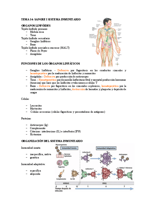Miniatura del documento TEMA-14.pdf