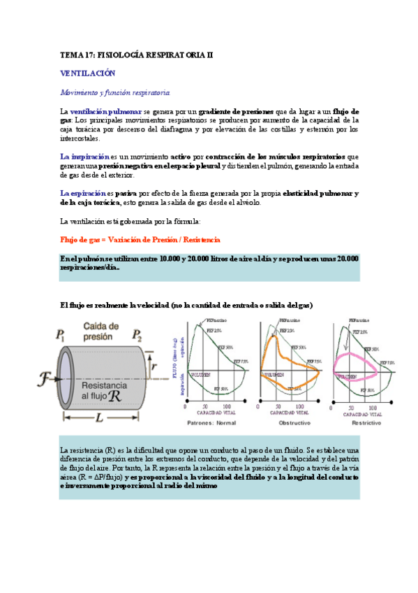 Miniatura del documento TEMA-17.pdf