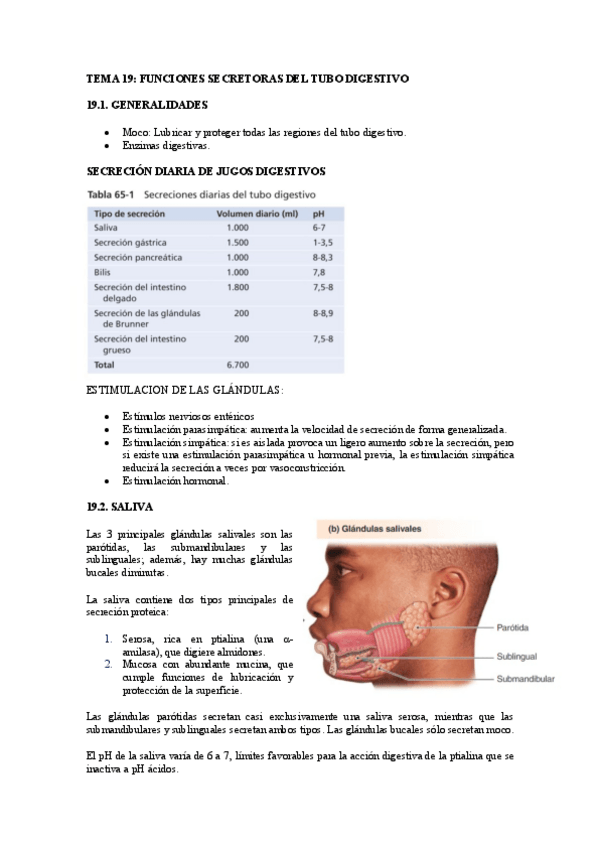 Miniatura del documento TEMA-19-copia.pdf