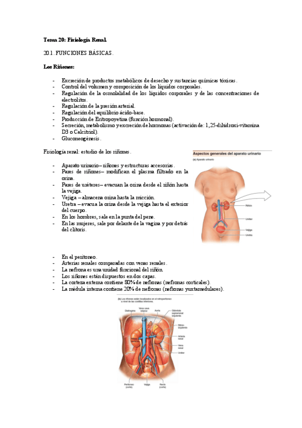 Miniatura del documento Tema-20.pdf