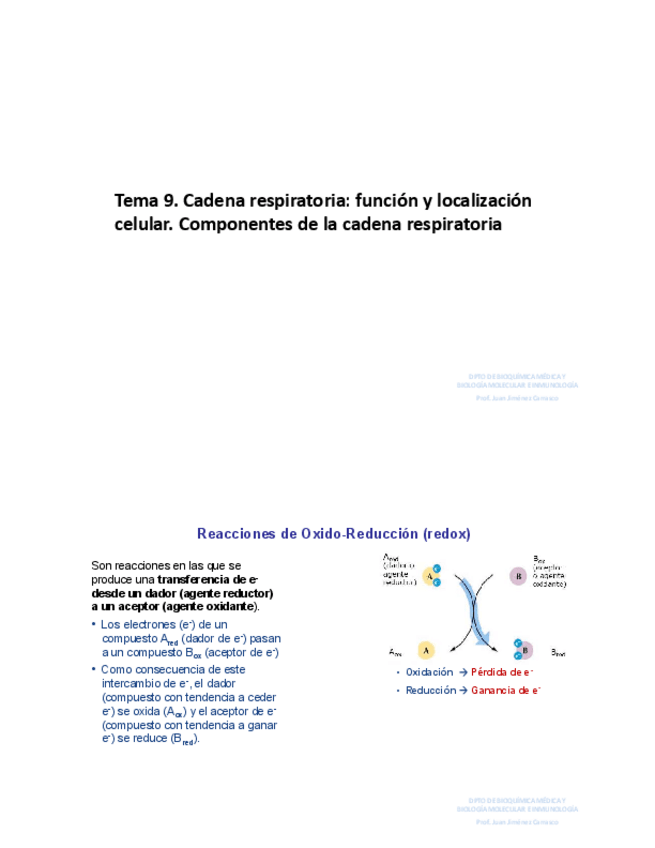 Miniatura del documento Tema-9.pdf