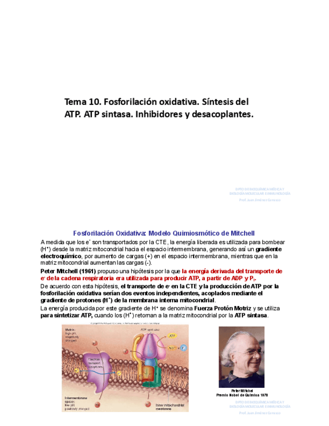 Miniatura del documento Tema-10.pdf