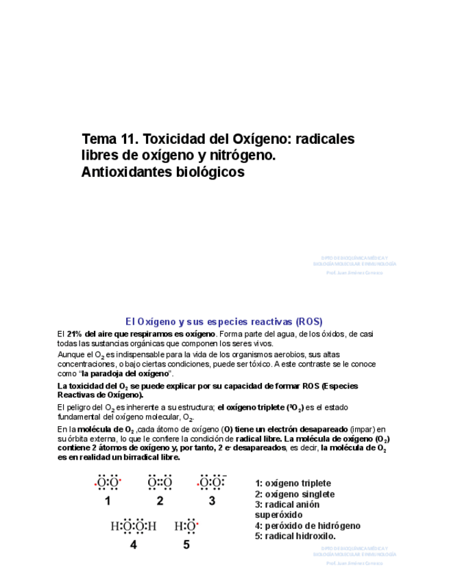 Miniatura del documento Tema-11.pdf