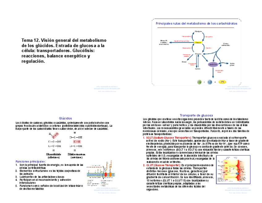Miniatura del documento Tema-12.pdf