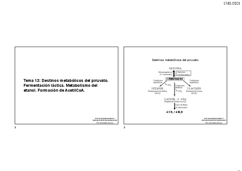 Miniatura del documento TEMA-13.pdf
