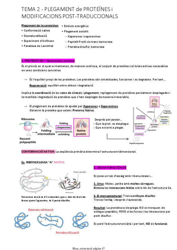 Miniatura del documento Tema-2-Plegament.pdf