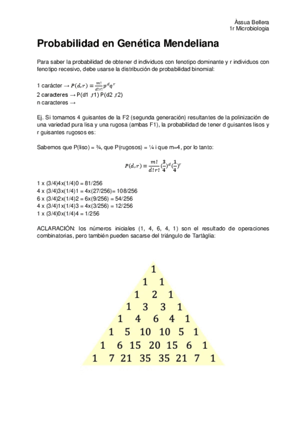 Miniatura del documento T3.-Probabilidad-en-genetica-mendeliana.pdf