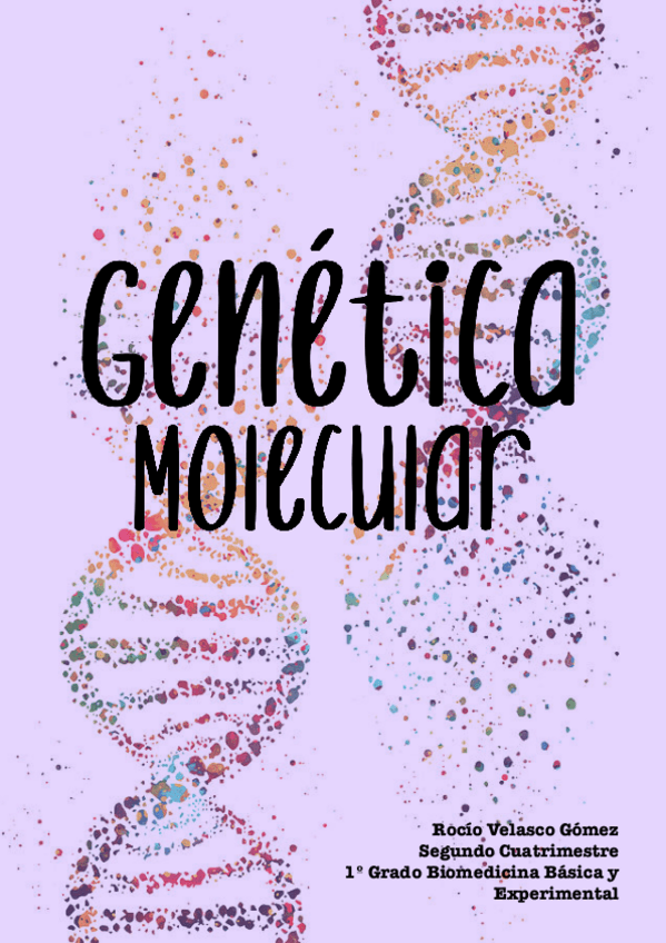 Miniatura del documento TEMARIO COMPLETO GENÉTICA MOLECULAR.pdf