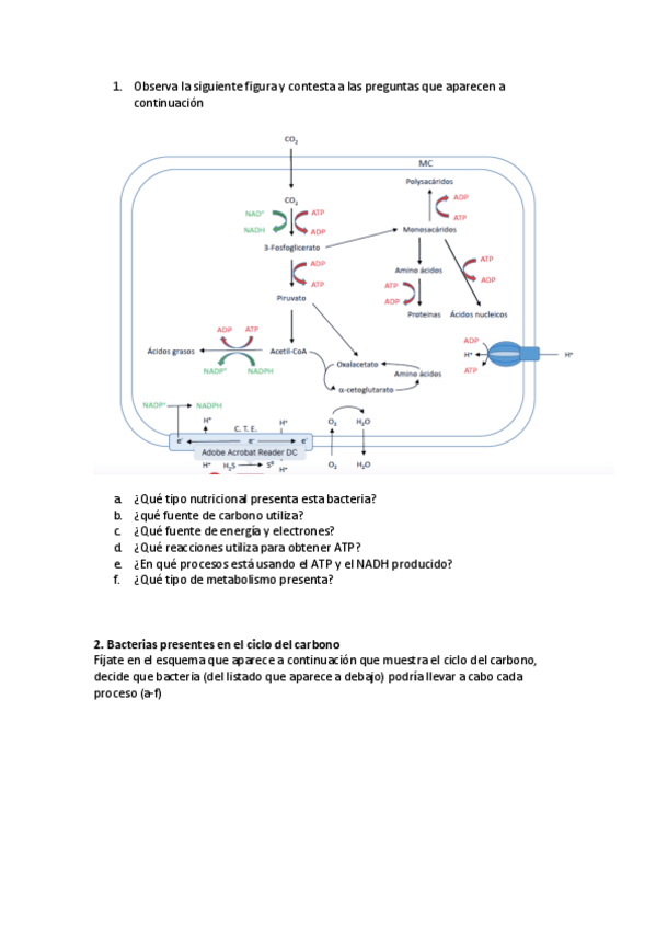 Miniatura del documento tareametabolismo01.pdf