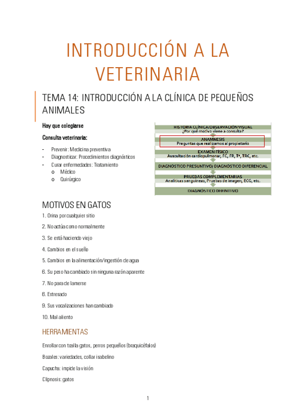 Miniatura del documento TEMA 14 CLINICA DE PEQUEÑOS ANIMALES.pdf
