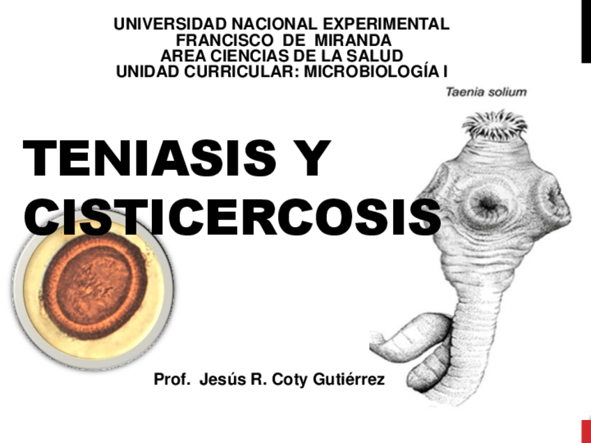 Miniatura del documento CESTODOS.pdf