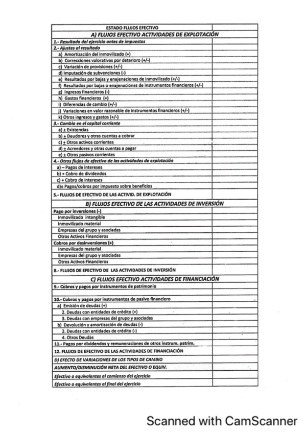 Miniatura del documento Plantilla-EFE.pdf