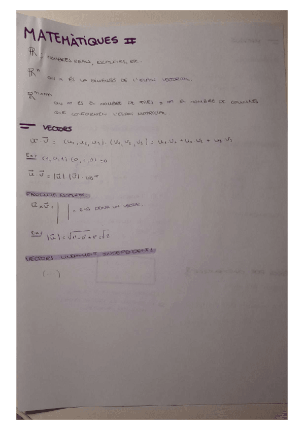 Miniatura del documento RESUM-mates-ii.pdf