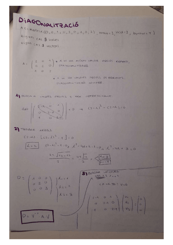 Miniatura del documento Diagonalitzacio.pdf