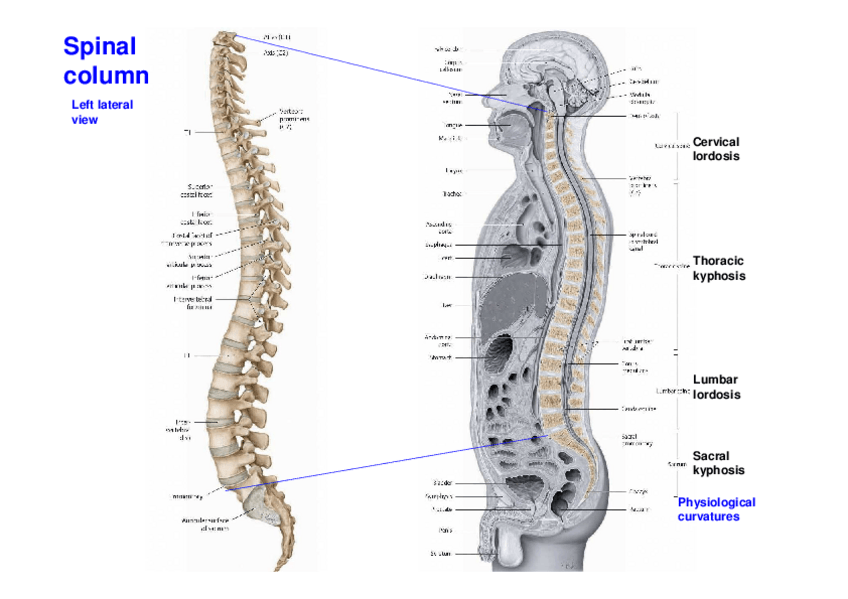 Miniatura del documento 2.-Iconografia.pdf