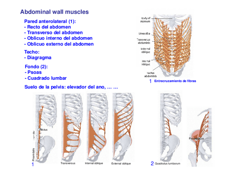 Miniatura del documento 6.-Iconografia.pdf