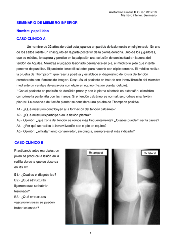Miniatura del documento Miembro-inferior.-Seminario.pdf