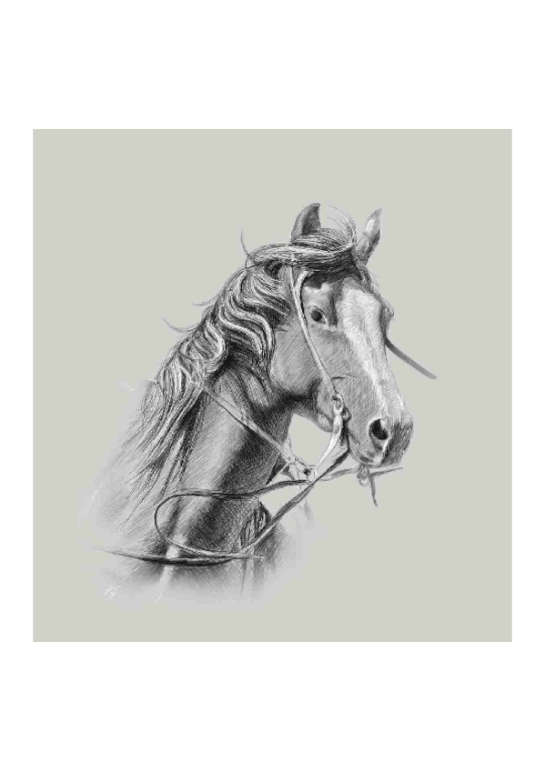 Miniatura del documento imgtopdf2107231900023.pdf