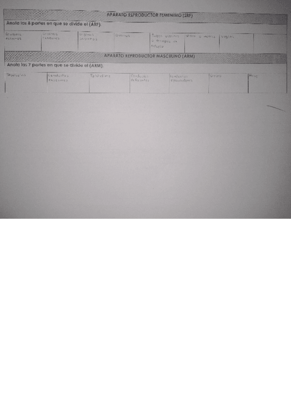 Miniatura del documento Partes-de-los-aparatos-reproductoresSRF-y-ARM.pdf