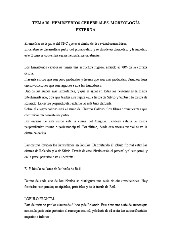 Miniatura del documento TEMA-10-NEUROANATOMIA.pdf