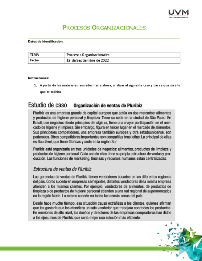 Miniatura del documento PROCESOS-ORGANIZACIONALES.pdf