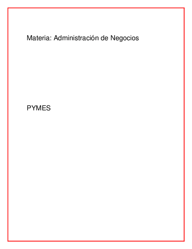 Miniatura del documento PYMES.pdf