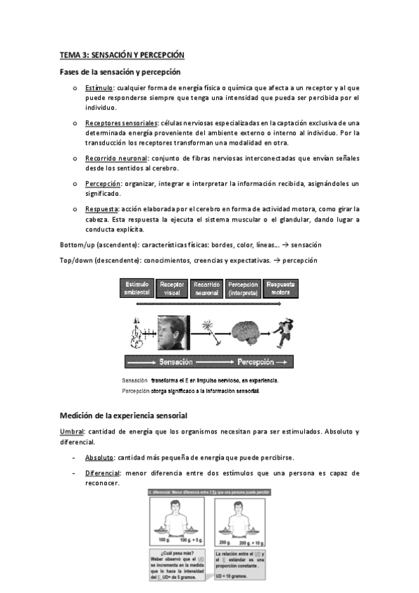 Miniatura del documento TEMA-3-SENSACION-Y-PERCEPCION.pdf