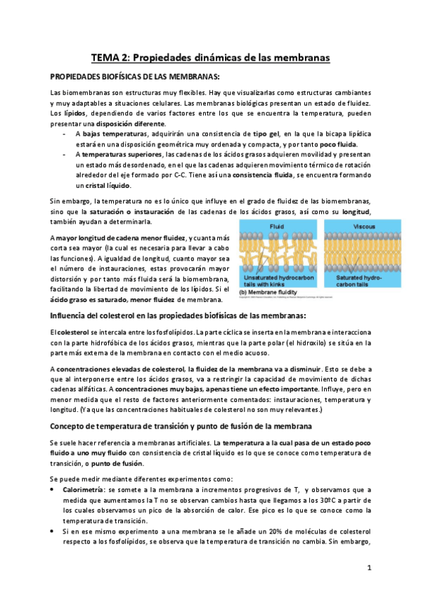 Miniatura del documento BTB-Tema-2.pdf