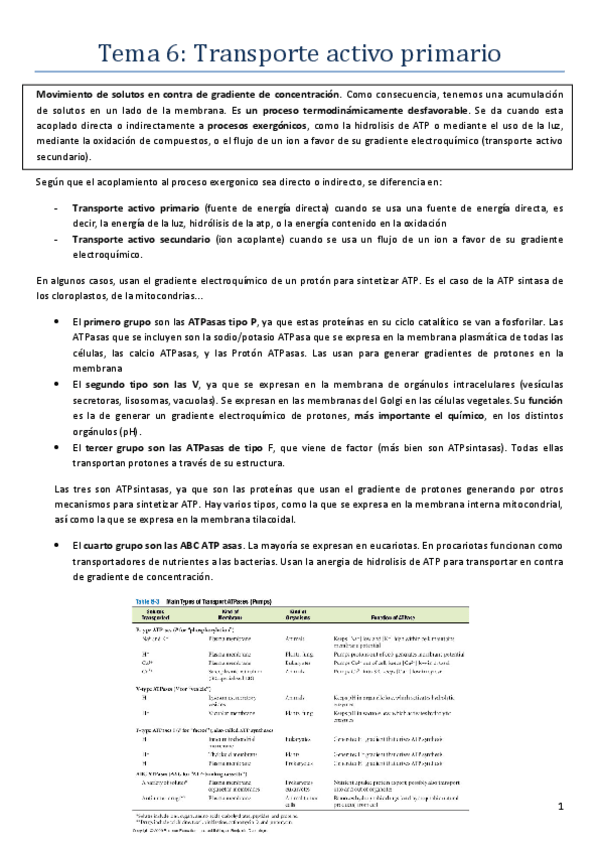 Miniatura del documento BTB-Tema-6.pdf