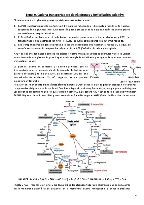 Miniatura del documento BTB-Tema-9.pdf
