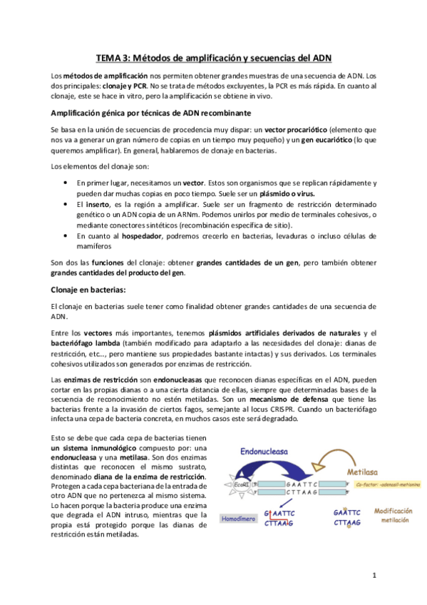 Miniatura del documento Tema-3.pdf