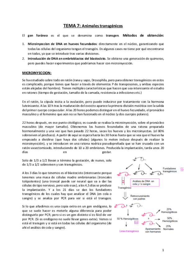 Miniatura del documento Tema-7.pdf