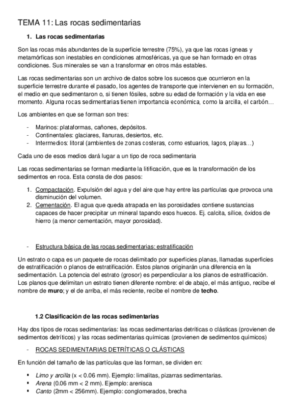 Miniatura del documento Tema 11 geología.pdf