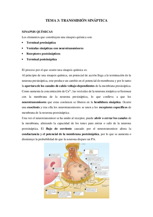 Miniatura del documento TEMA-3-FISIOLOGIA.pdf