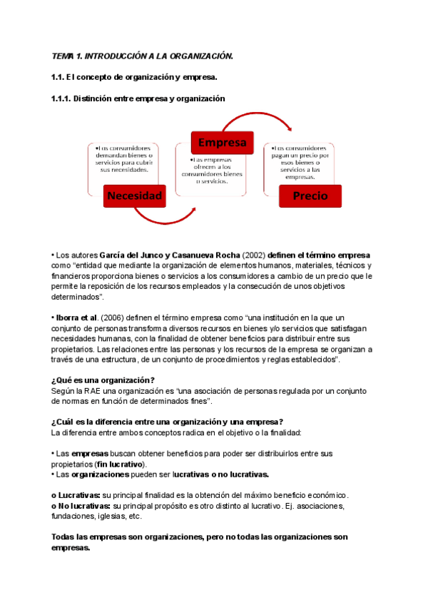 Miniatura del documento TEORIA-DE-LA-ORGANIZACION.pdf