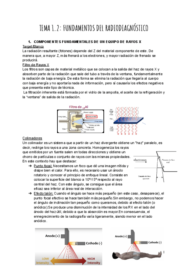 Miniatura del documento TEMA-1.2.pdf