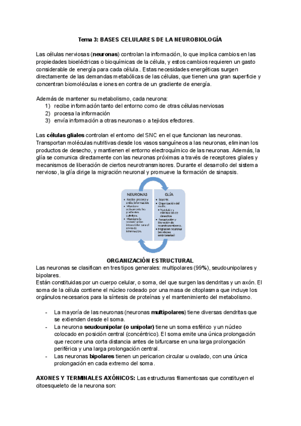 Miniatura del documento Tema-3-BASES-CELULARES-DE-LA-NEUROBIOLOGIA.pdf