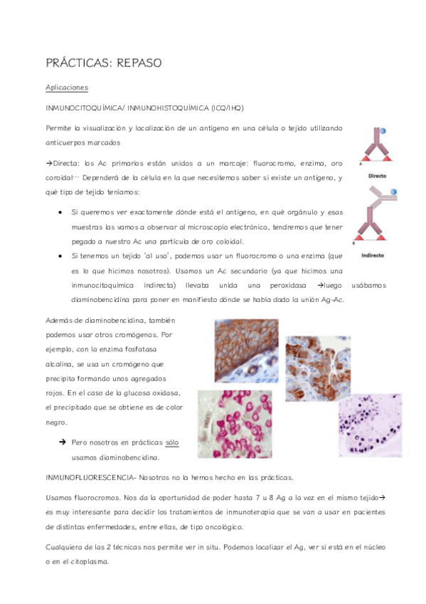 Miniatura del documento resumen-practicas-sanitaria.pdf
