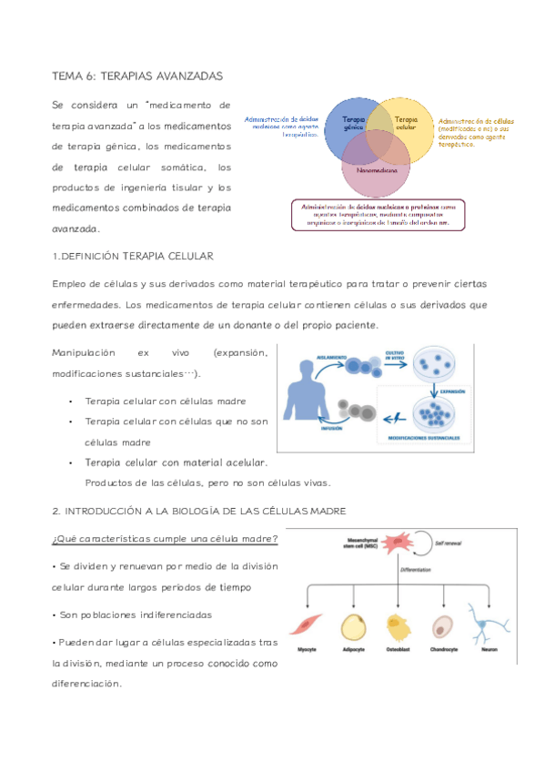 Miniatura del documento Terapias-B-sanit.pdf