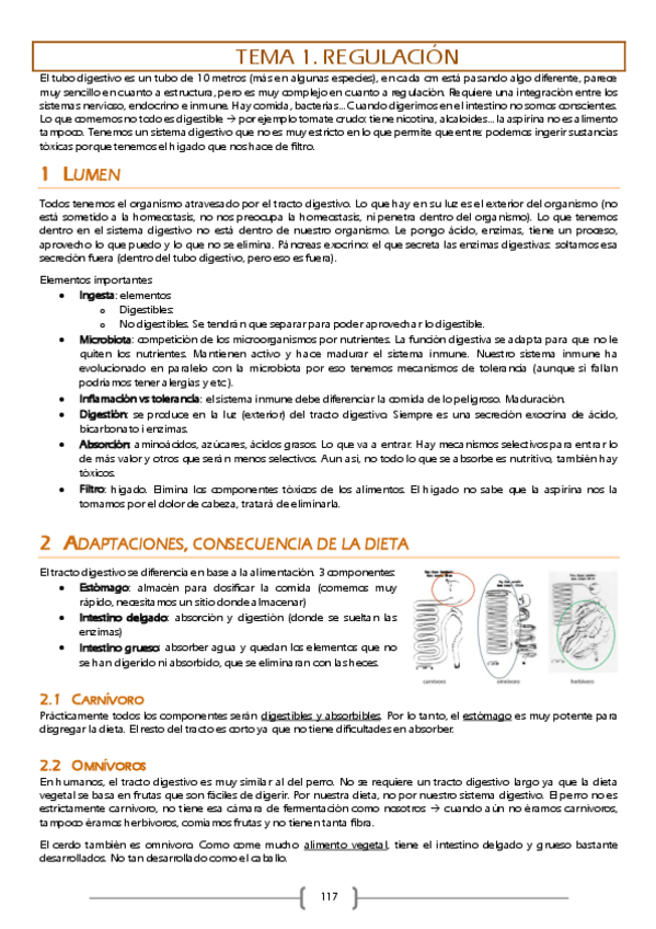 Miniatura del documento Fisiologia-digestivo.pdf