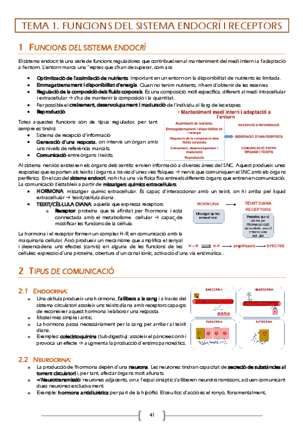 Miniatura del documento Fisiologia-endocrino.pdf