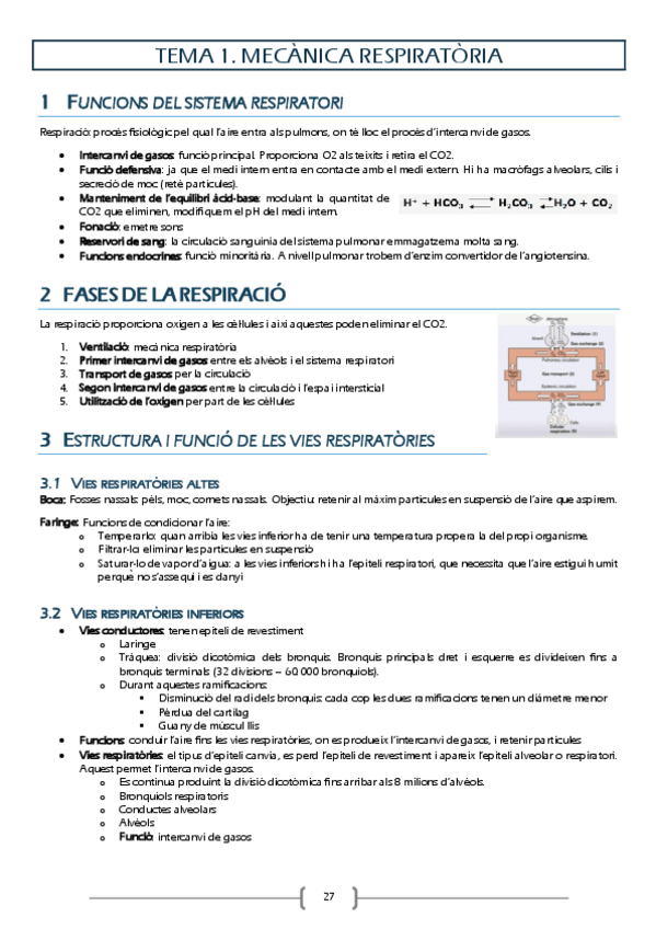 Miniatura del documento Fisiologia-respiratori.pdf